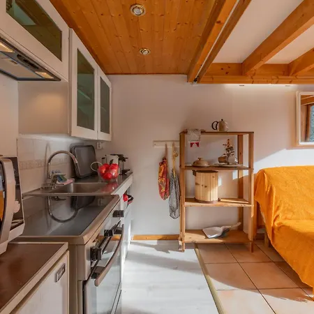 Résidence Grand Roc - Ancolies 017 - Happy * Chamonix