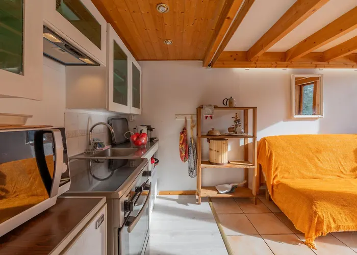 Apartmán Grand Roc - Ancolies 017 - Happy Chamonix