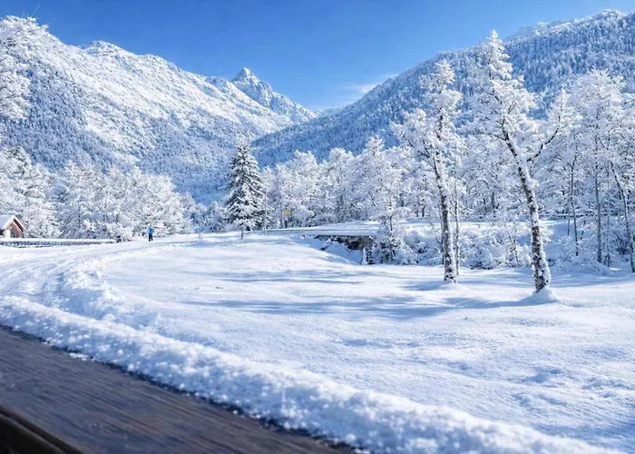 Grand Roc - Ancolies 017 - Happy