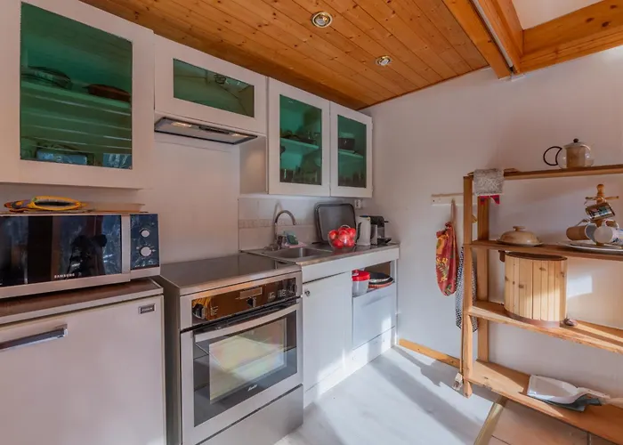 Grand Roc - Ancolies 017 - Happy * シャモニー